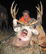 Record book archery mule deer, taken by Mike on property - Fall 2008